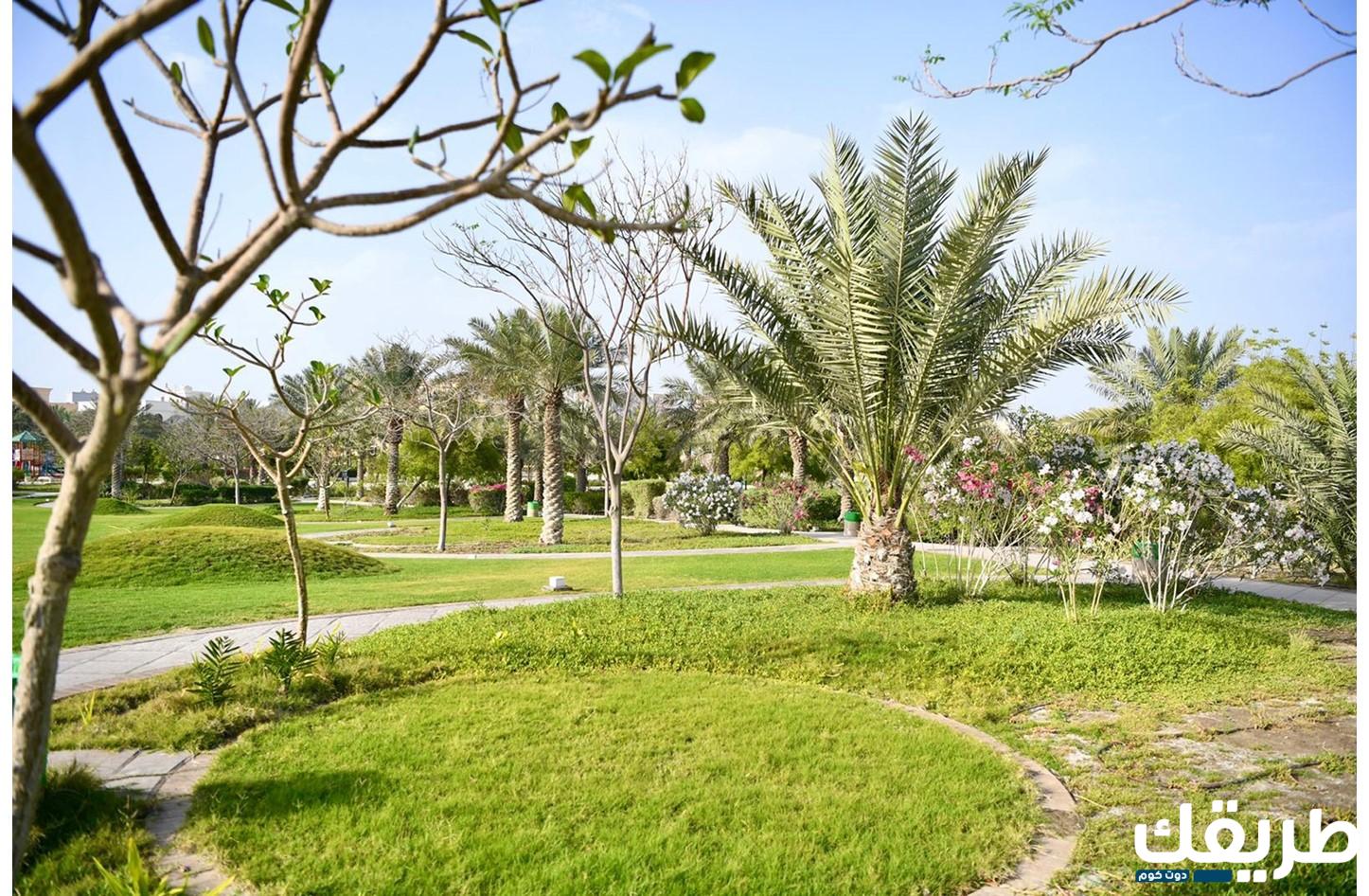 اقرب حديقة من موقعي الحالي في السعودية 1445 2 اقرب حديقة من موقعي الحالي في السعودية